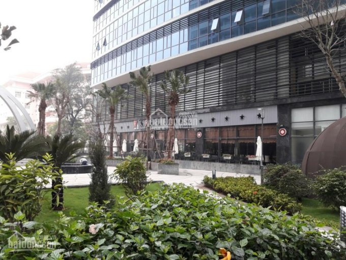 Cho thuê chính chủ căn hộ tại Tràng An Complex, 75 m2 - 154 m2, giá chỉ từ 11 triệu/tháng 797843