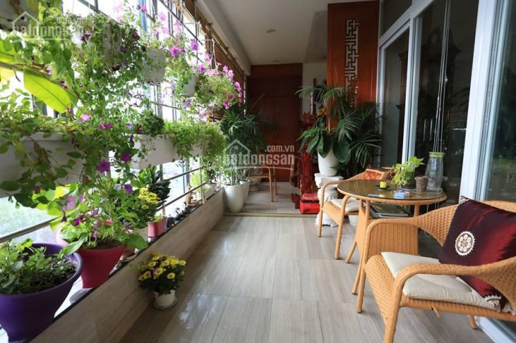 Cho thuê chung cư 671 Hoàng Hoa Thám (view hồ), diện tích 178 m2 (ảnh căn hộ) 824422