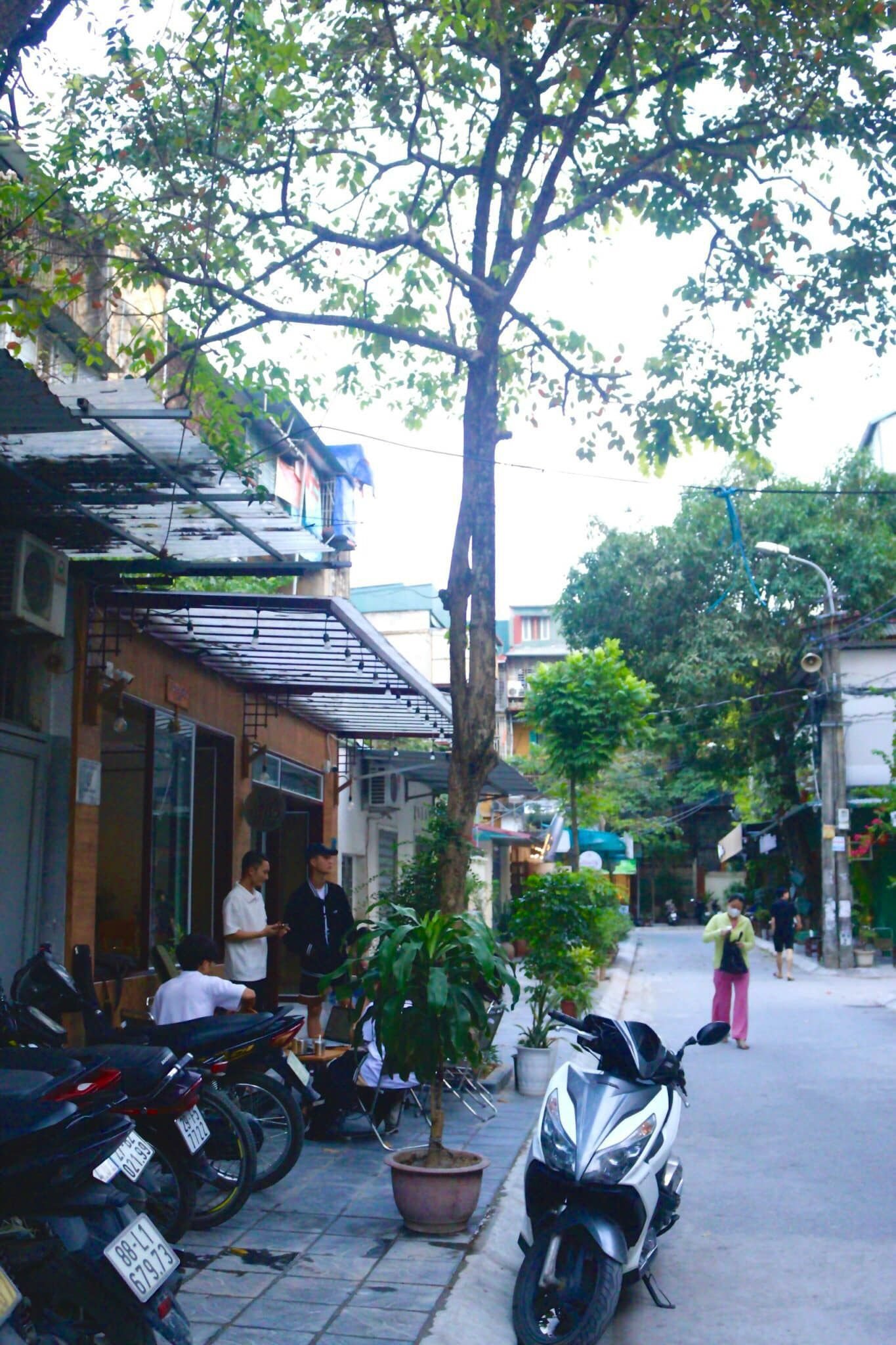 CẦN SANG LẠI QUÁN CÀ PHÊ * ĐỊA CHỈ; 105b1 tô hiệu nhỏ nghĩa tân 1048052