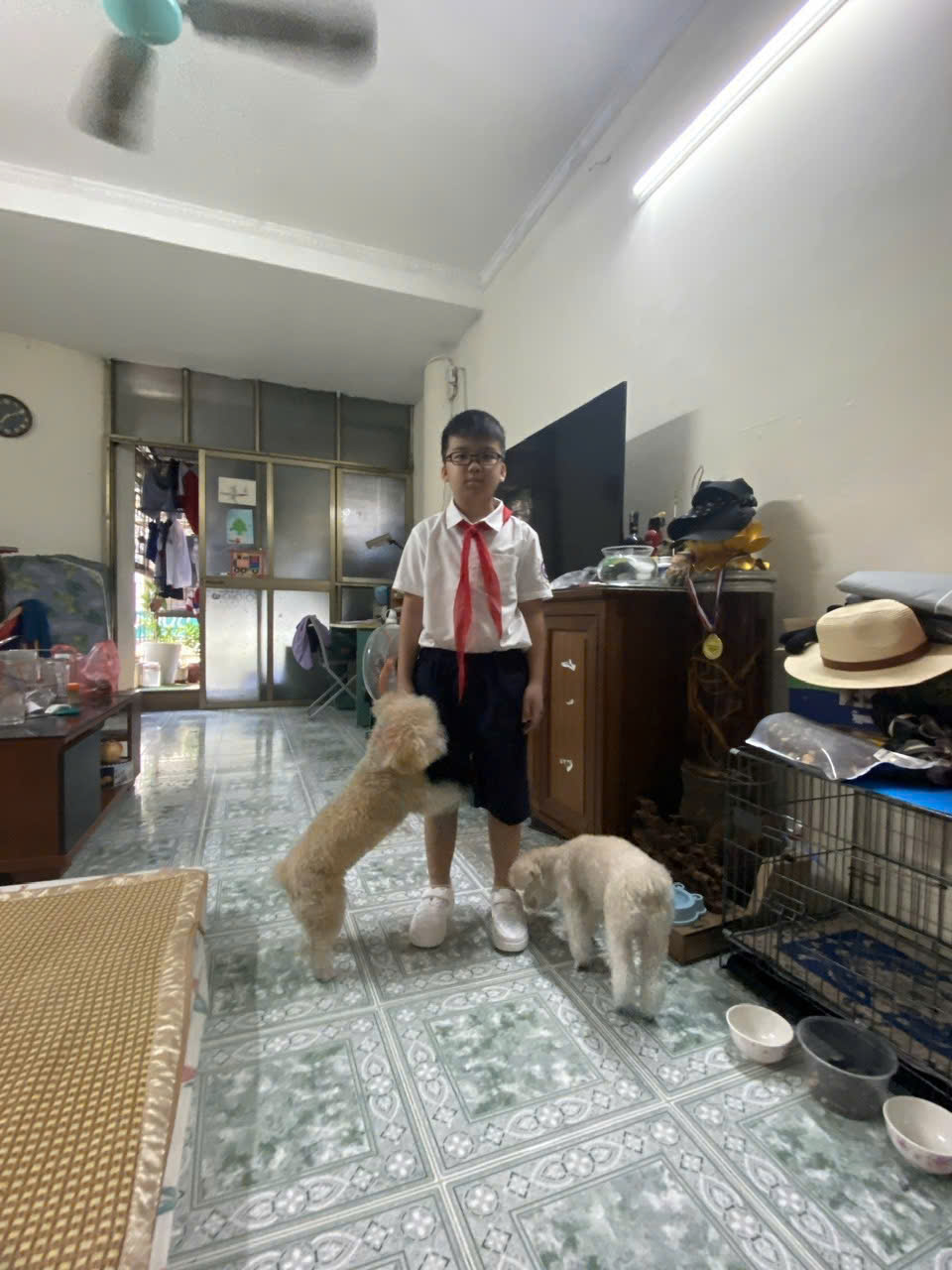 CHO THUÊ PHÒNG 30m² – HÀNG THAN, HOÀN KIẾM (CHO THUÊ LÂU DÀI) 1104837