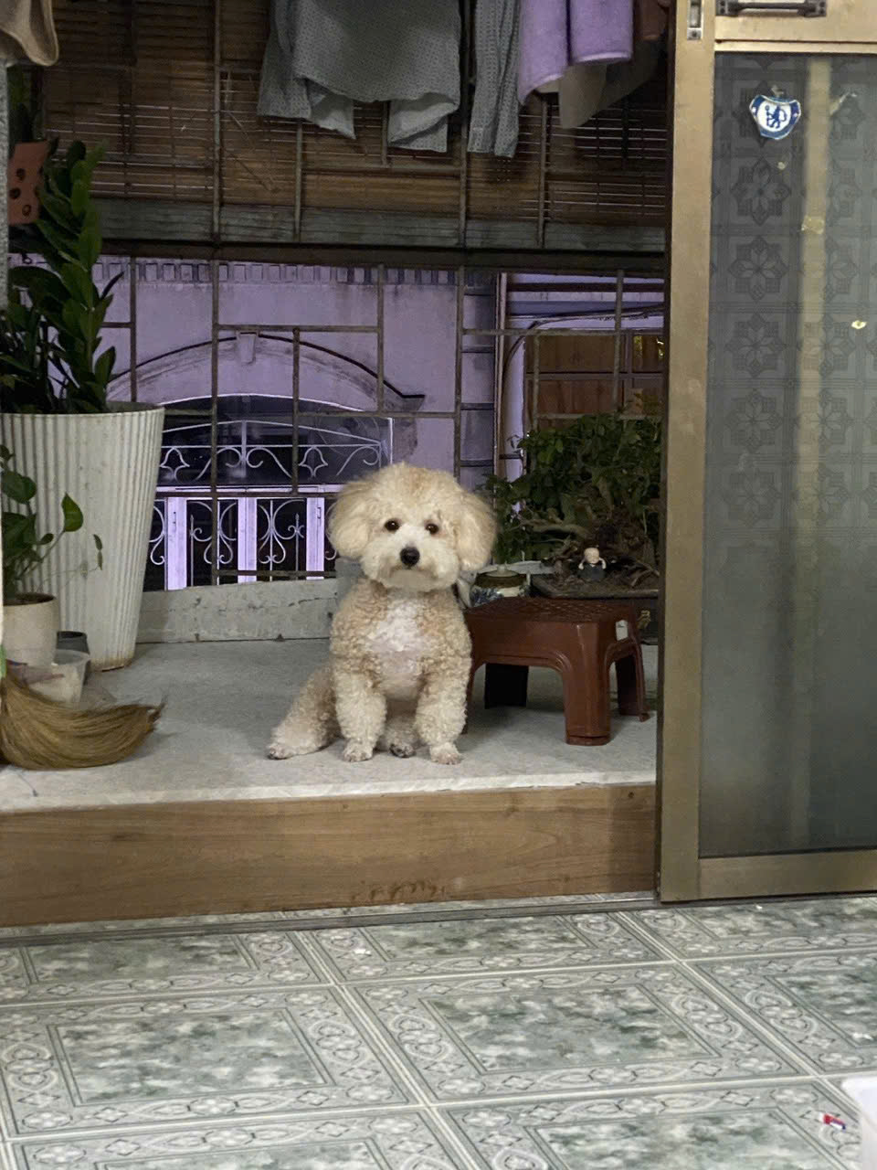CHO THUÊ PHÒNG 30m² – HÀNG THAN, HOÀN KIẾM (CHO THUÊ LÂU DÀI) 1104837