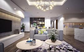 Cho thuê căn hộ chung cư (penthouse) Chelsea Park, đủ đồ 250m2