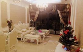 Cho thuê căn hộ 88m2 dự án Tân Hoàng Minh - Quảng An, 2 ngủ, nội thất hoàng gia, đang trống