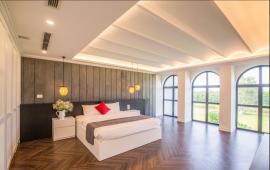 Chính chủ cho thuê căn hộ tại Hoàng Thành Tower 1 - 2 - 3 PN nội thất vip