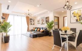 Cho thuê căn hộ chung cư cao cấp Mandarin Garden, 127m2 nội thất đầy đủ, view thoáng
